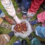 Exkursionen – Wir erkunden die Umgebung