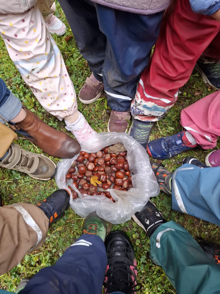 Exkursionen – Wir erkunden die Umgebung
